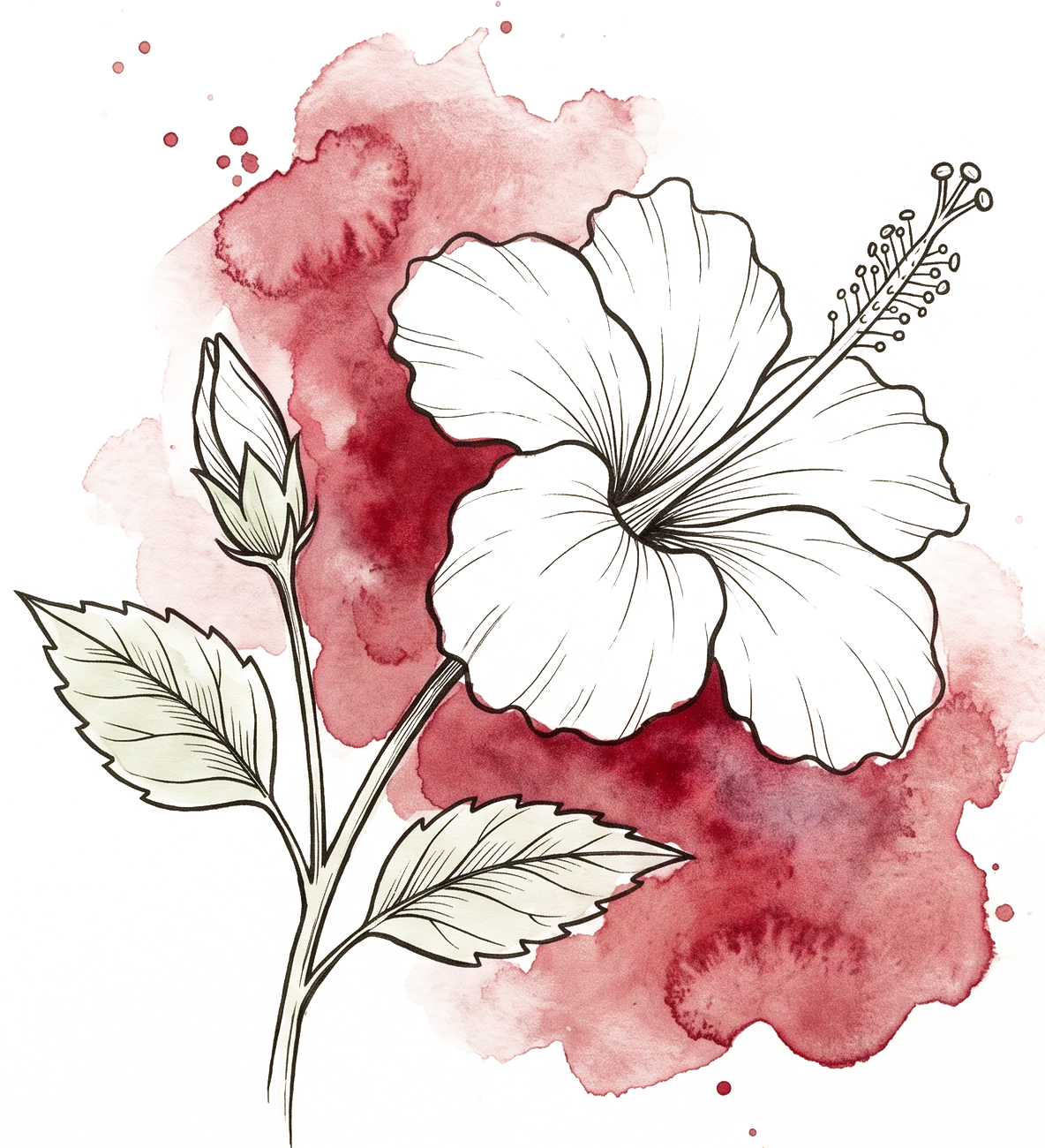 Hibiscus flowers, painterly illustration